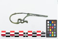 Foto von Bronzeschlangenfibel (NHMW-PRAE-025755)